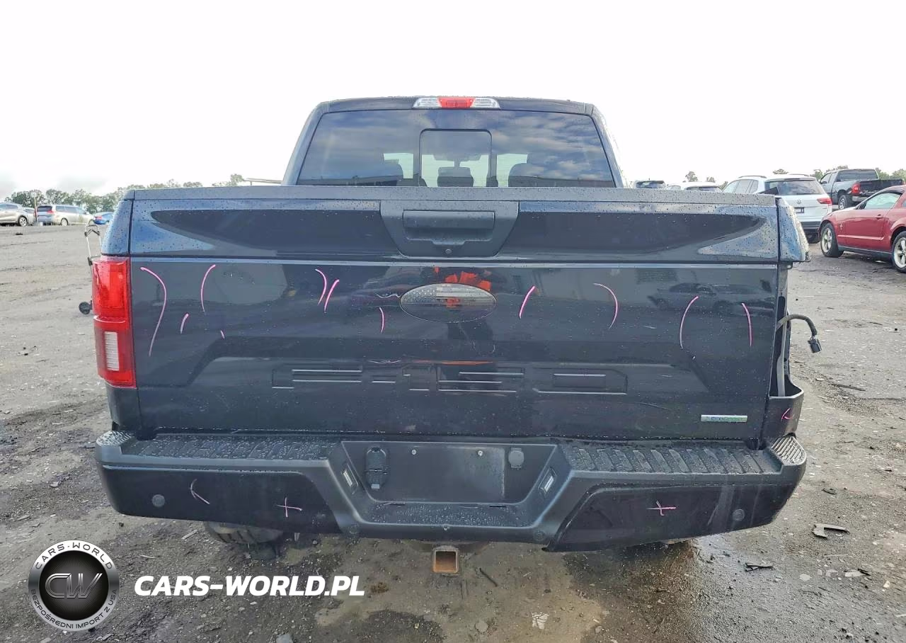 2020 Ford F150 Supercrew VIN:1FTEW1E4XLFB80269 - 6