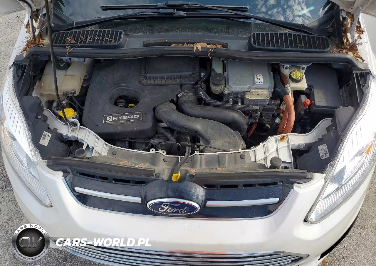 2018 Ford C-Max Titanium VIN:1FADP5DU0JL100824 - 11