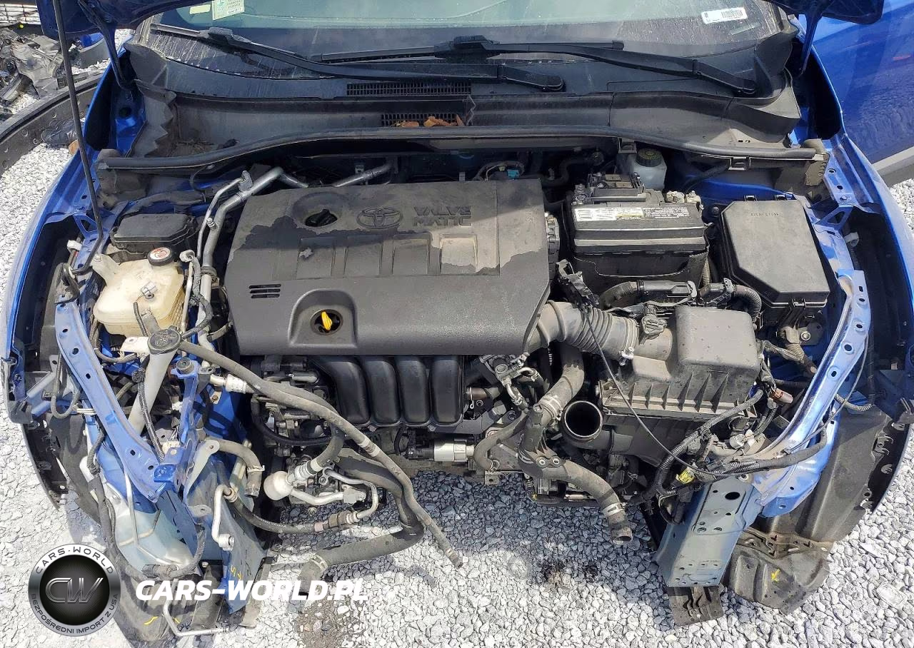2019 Toyota C-Hr Xle VIN:JTNKHMBX8K1053282 - 12
