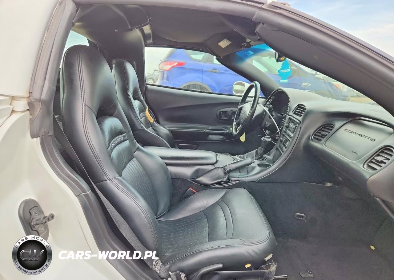 2004 Chevrolet Corvette VIN:1G1YY22G445110312 - 10