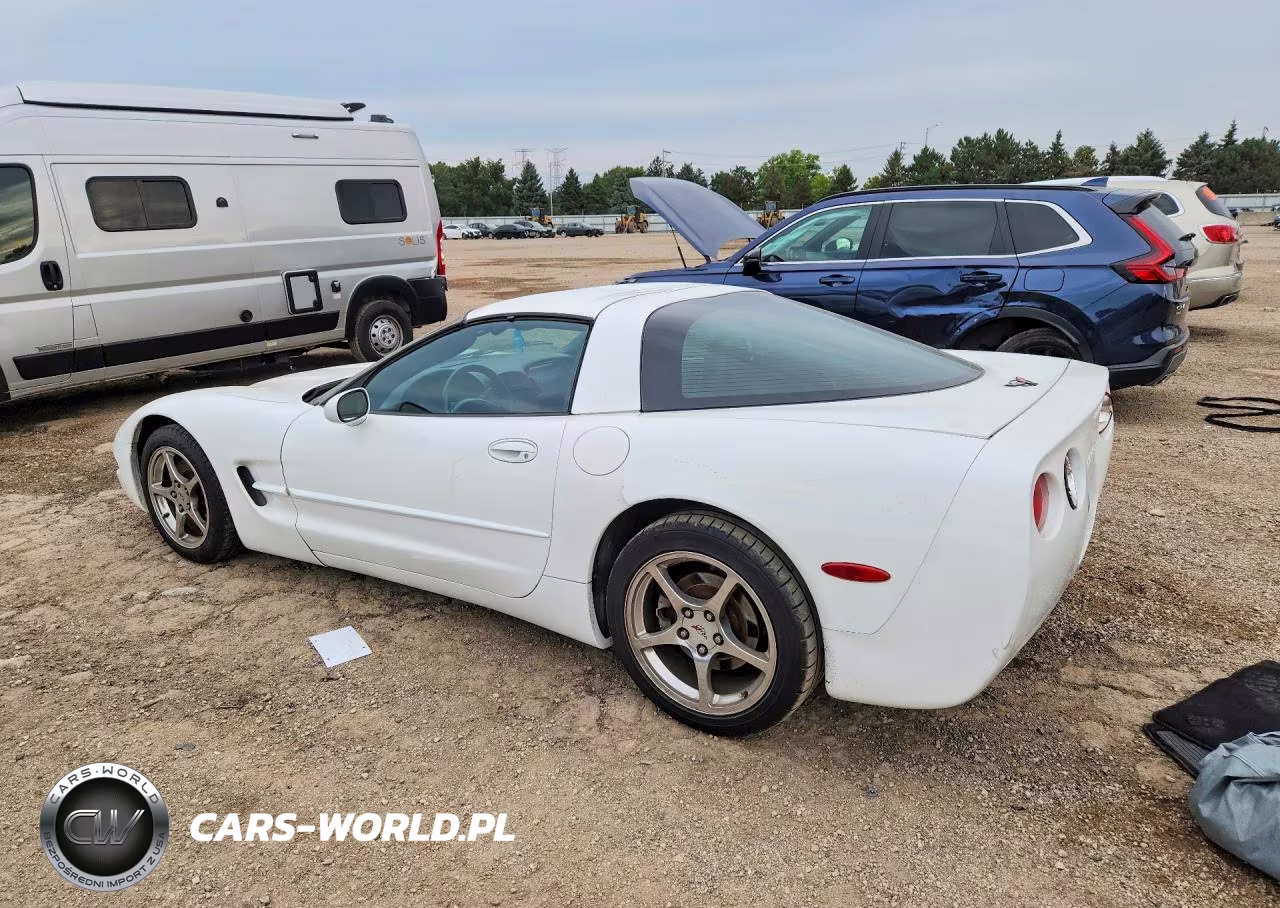 2004 Chevrolet Corvette VIN:1G1YY22G445110312 - 2