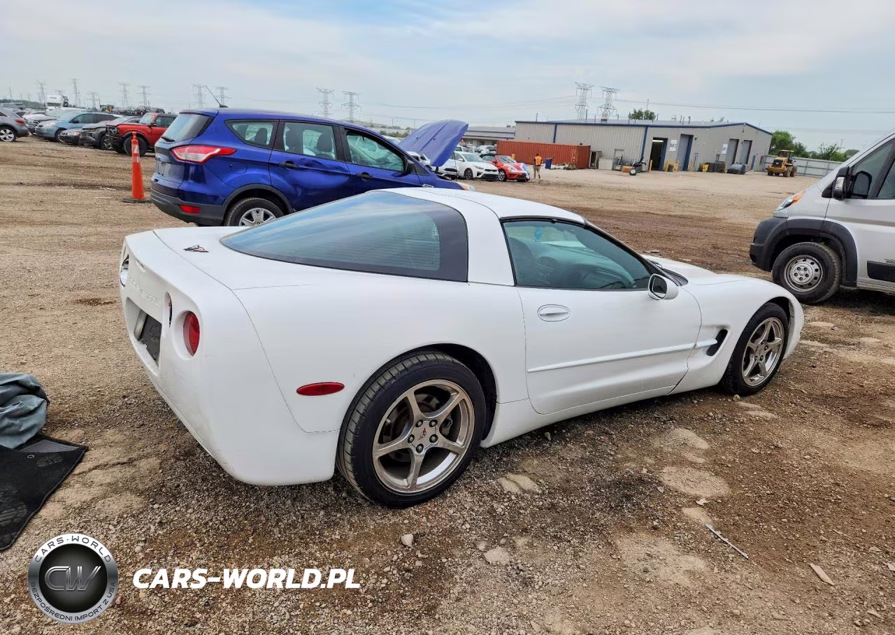 2004 Chevrolet Corvette VIN:1G1YY22G445110312 - 3
