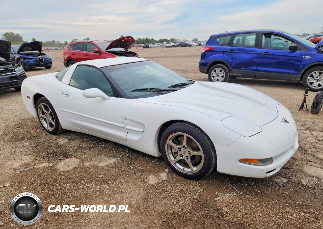 2004 Chevrolet Corvette VIN:1G1YY22G445110312 - 4