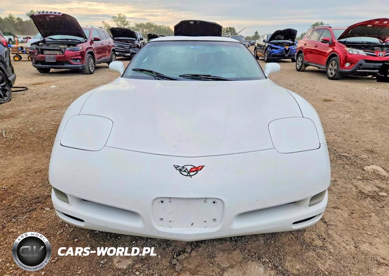 2004 Chevrolet Corvette VIN:1G1YY22G445110312 - 5
