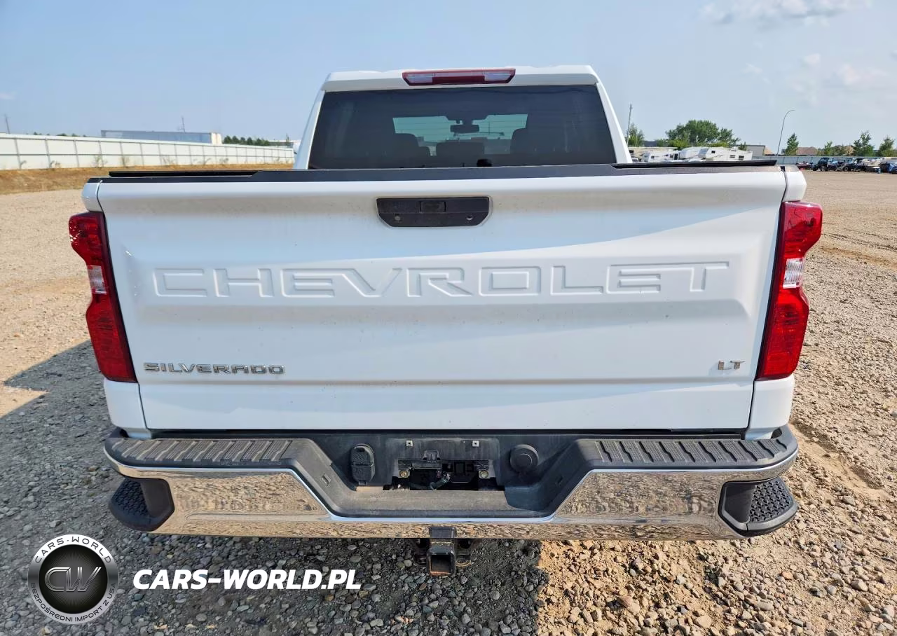 2019 Chevrolet Silverado K1500 Lt VIN:3GCPYDEK2KG144768 - 6