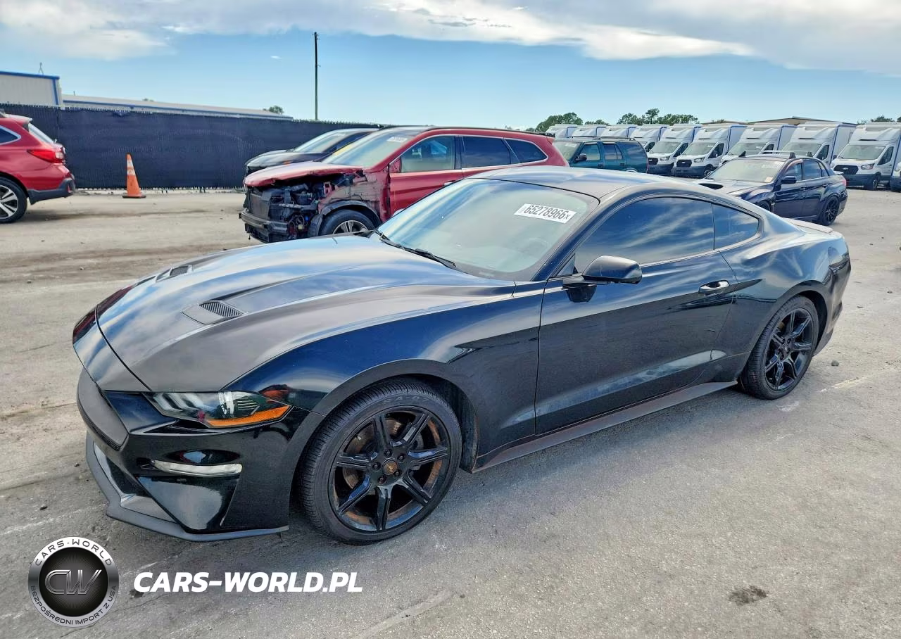 2019 Ford Mustang