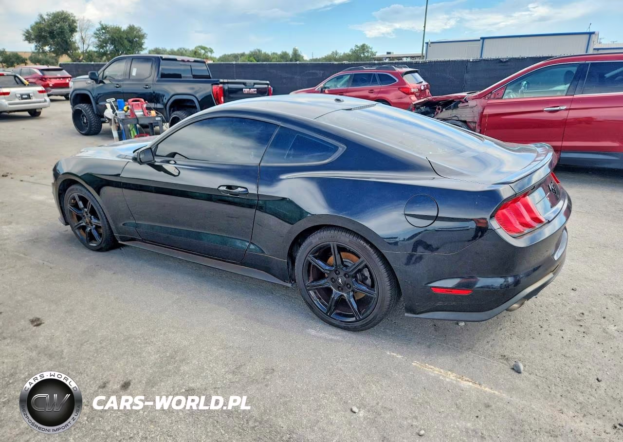2019 Ford Mustang VIN:1FA6P8TH2K5117077 - 2