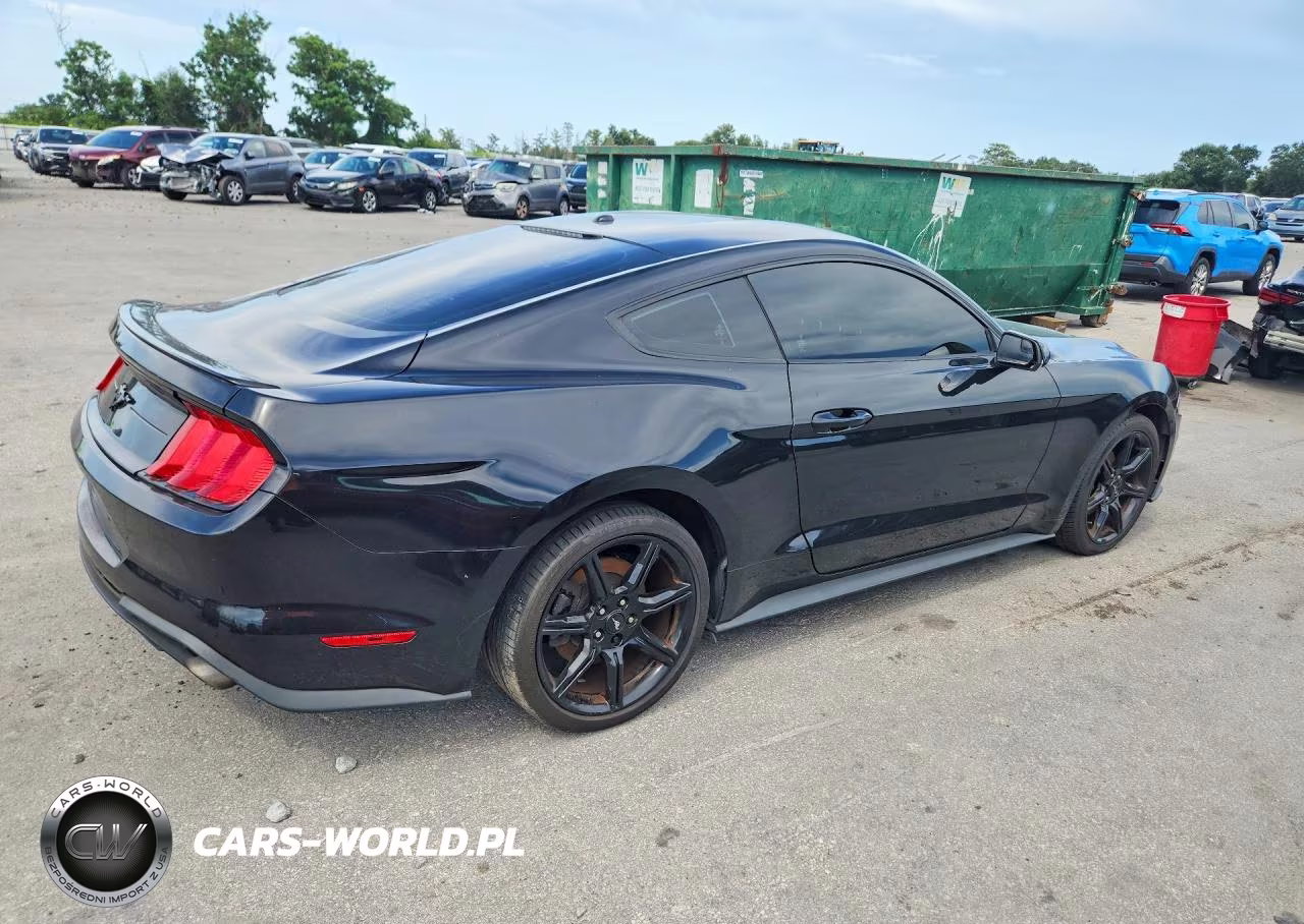 2019 Ford Mustang VIN:1FA6P8TH2K5117077 - 3