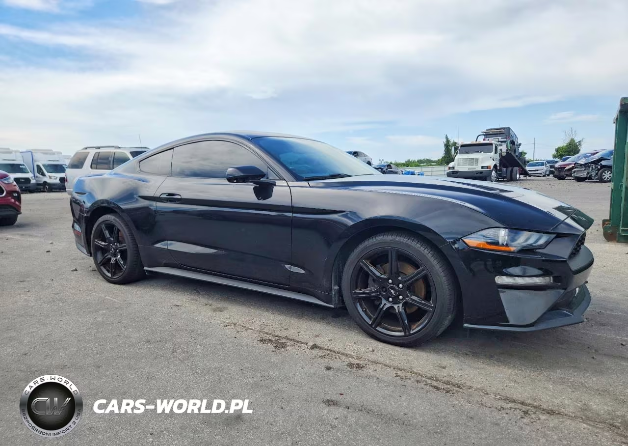 2019 Ford Mustang VIN:1FA6P8TH2K5117077 - 4