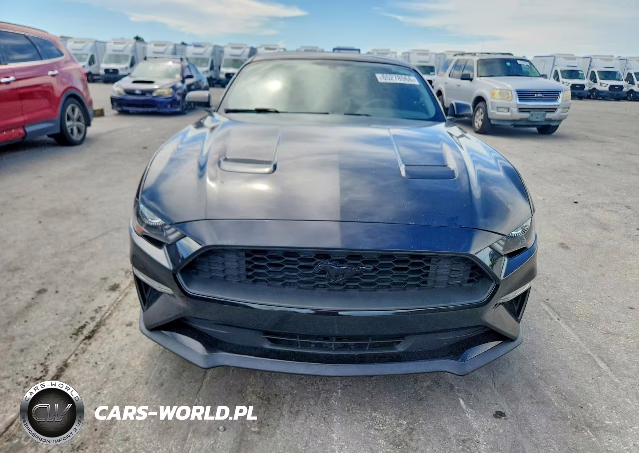 2019 Ford Mustang VIN:1FA6P8TH2K5117077 - 5