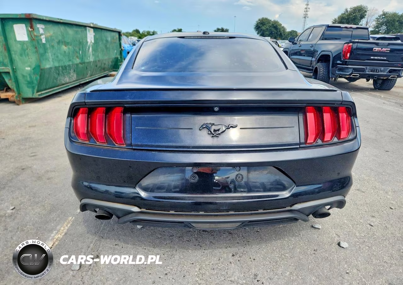 2019 Ford Mustang VIN:1FA6P8TH2K5117077 - 6