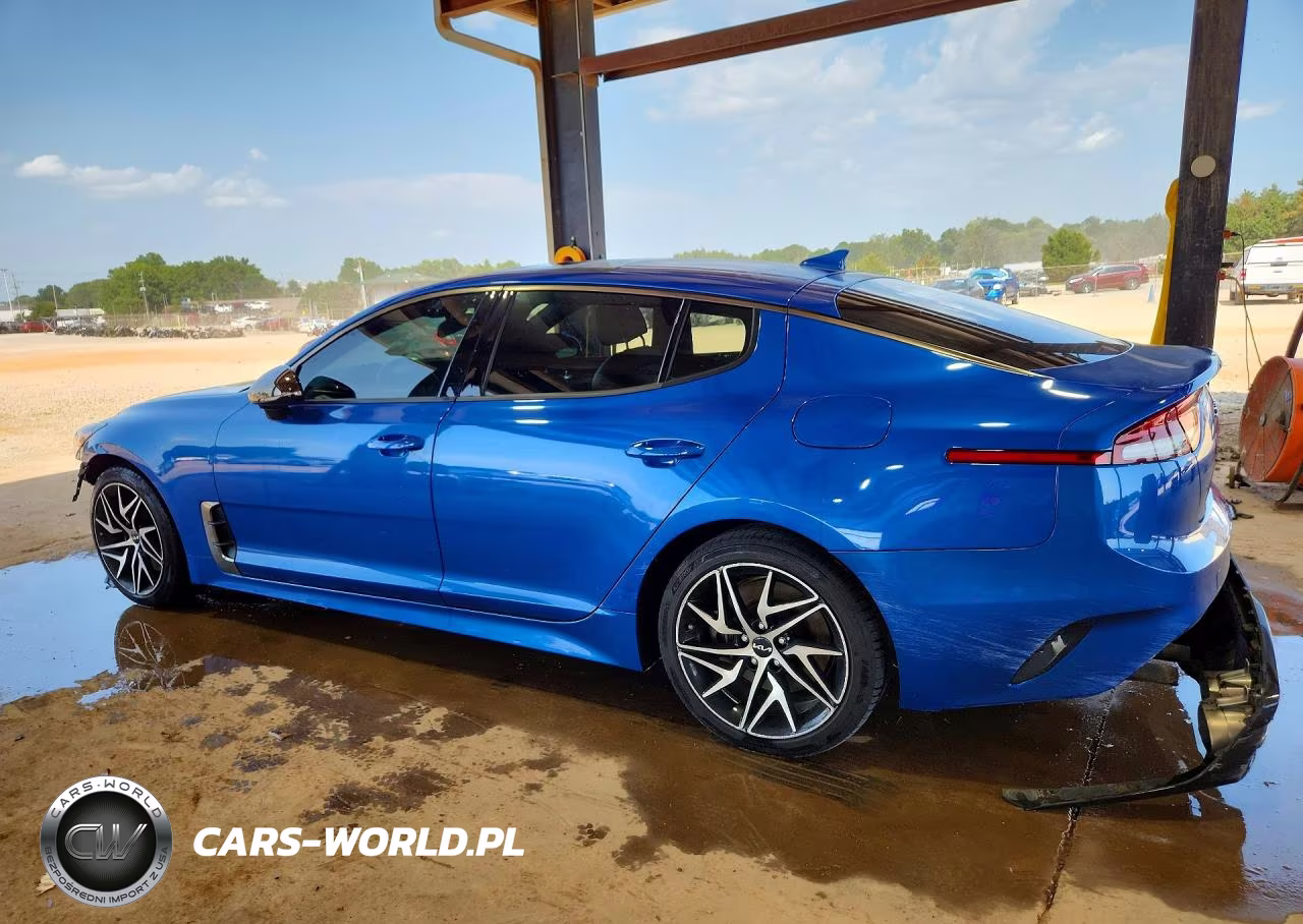 2022 Kia Stinger Gt Line VIN:KNAE35LDXN6116011 - 2