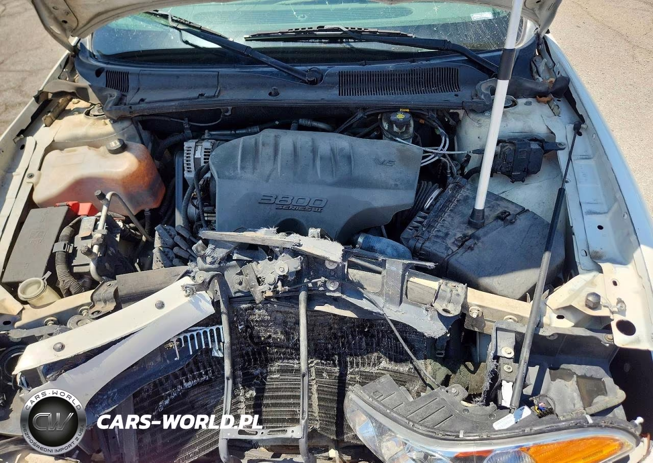 2004 Buick Lesabre Custom VIN:1G4HP52KX4U100756 - 11