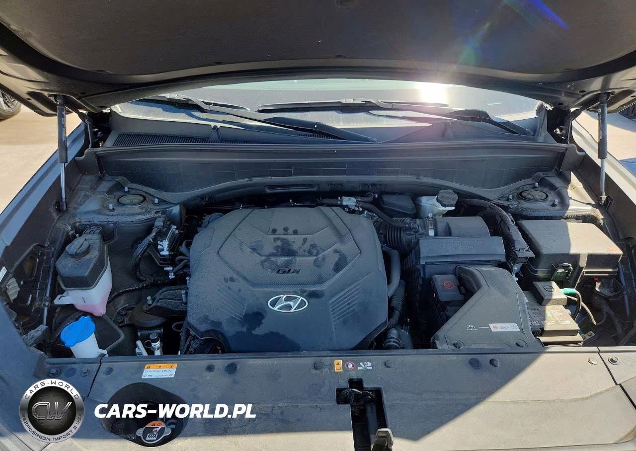 2024 Hyundai Palisade Limited VIN:KM8R54GE5RU685678 - 12