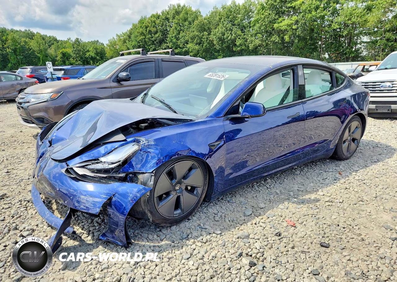 2023 Tesla Model 3 VIN:5YJ3E1EA1PF600379 - 1