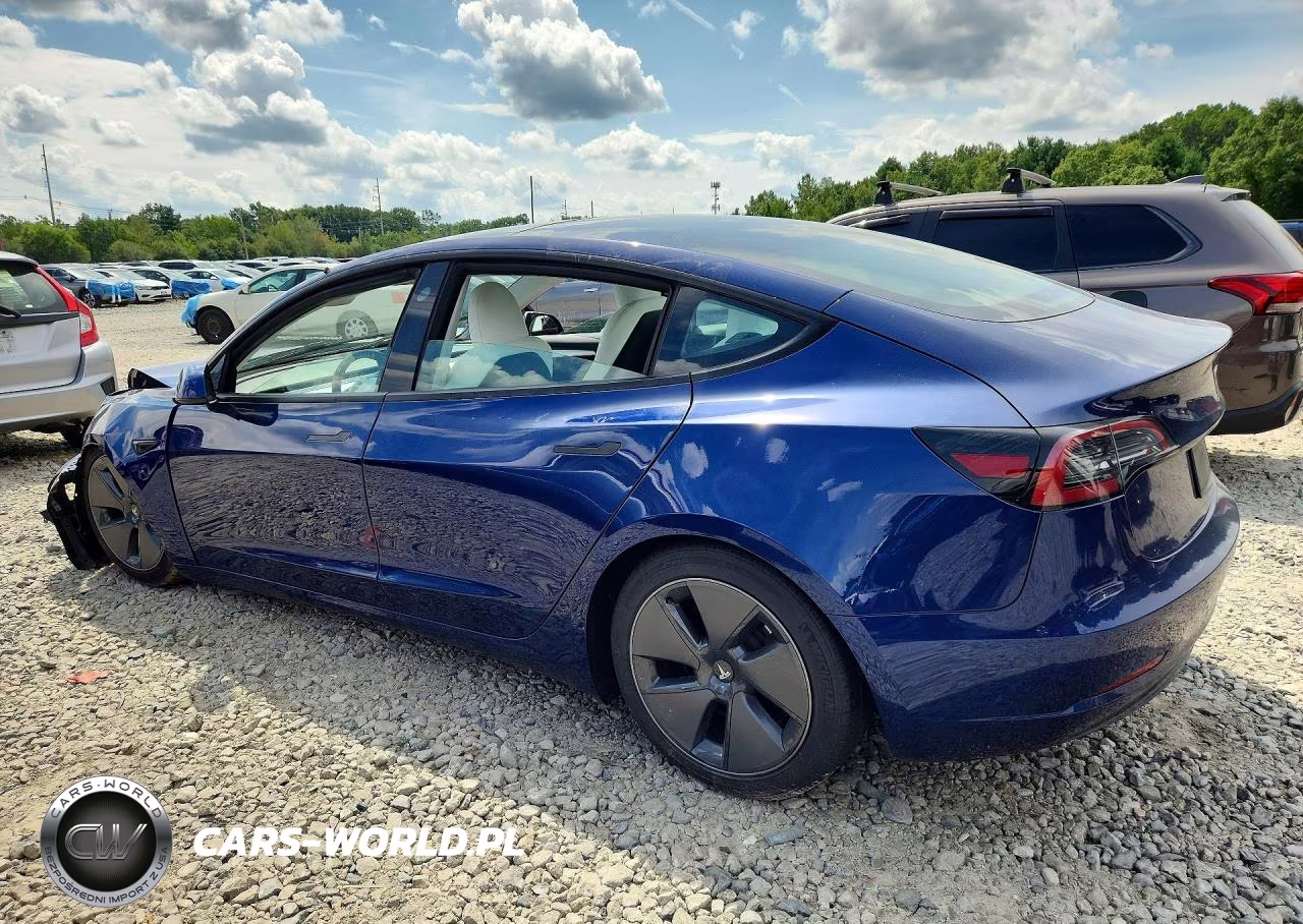 2023 Tesla Model 3 VIN:5YJ3E1EA1PF600379 - 2