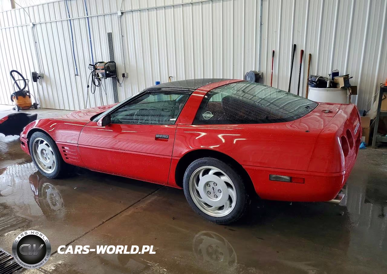 1991 Chevrolet Corvette VIN:1G1YY2386M5117124 - 2