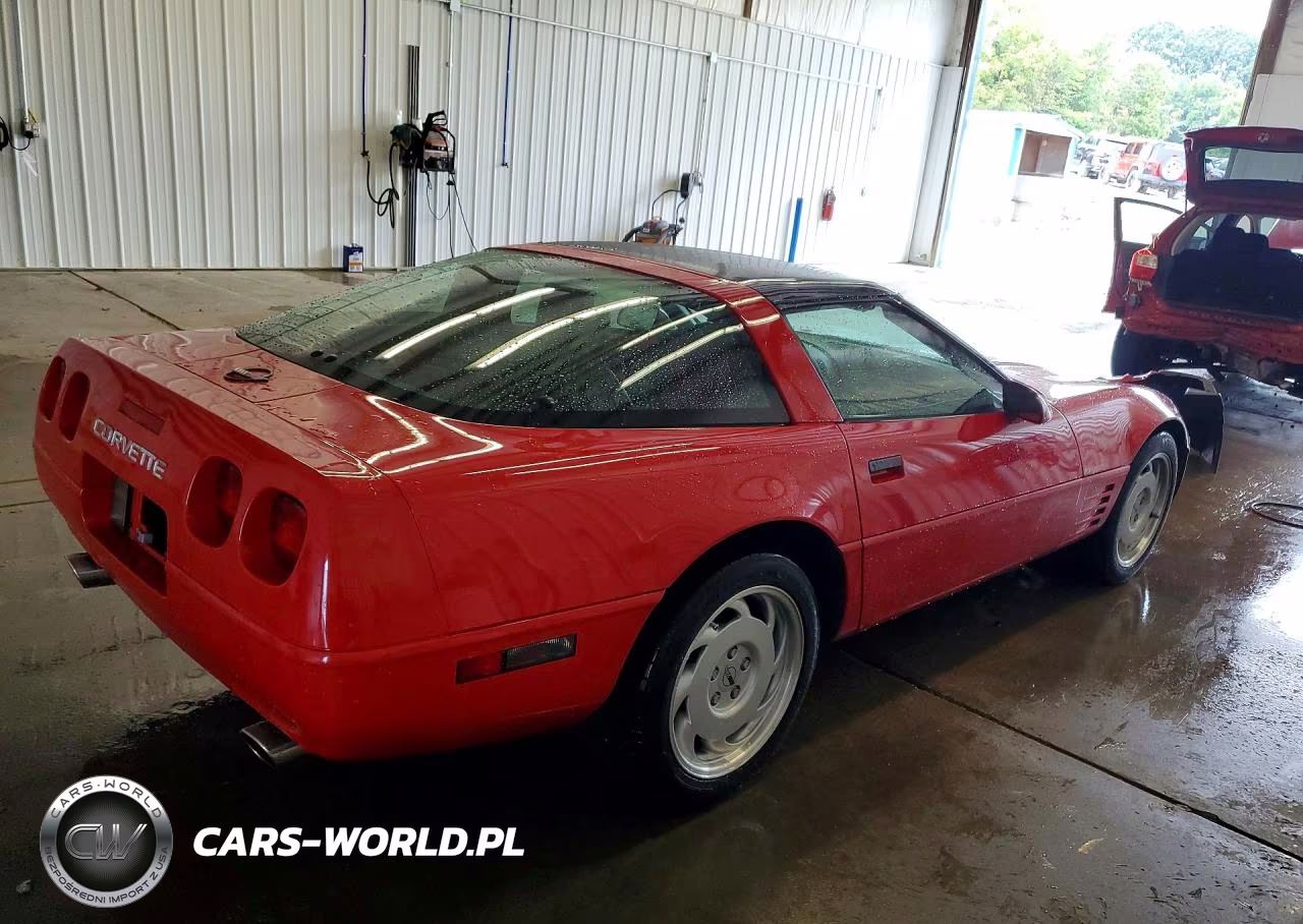 1991 Chevrolet Corvette VIN:1G1YY2386M5117124 - 3
