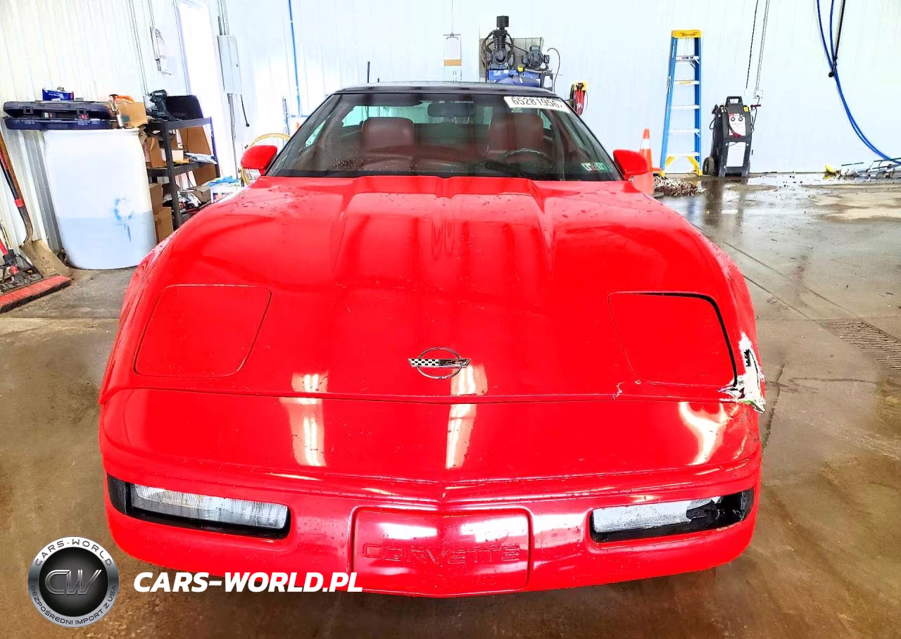 1991 Chevrolet Corvette VIN:1G1YY2386M5117124 - 5