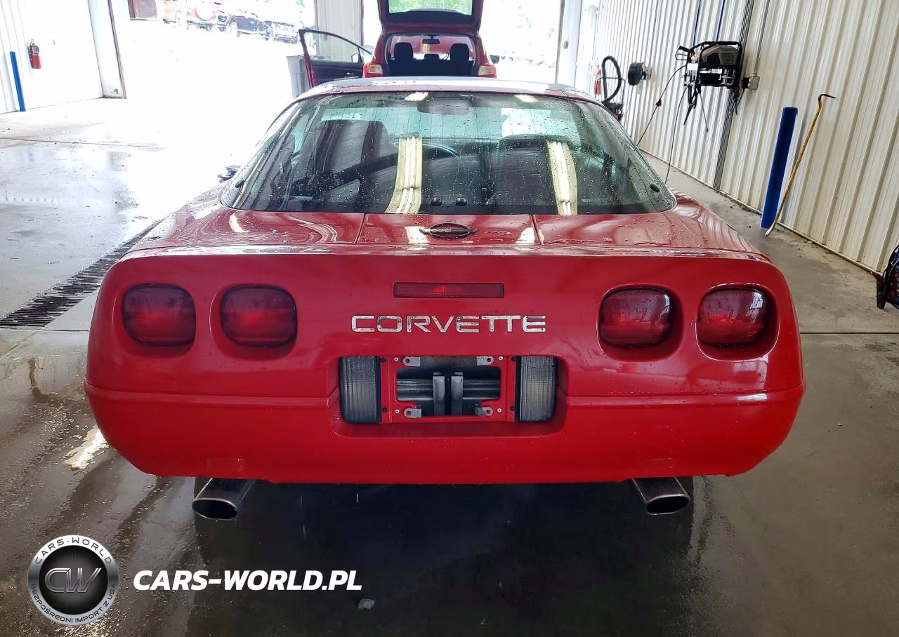 1991 Chevrolet Corvette VIN:1G1YY2386M5117124 - 6