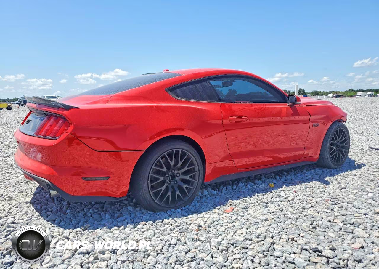 2016 Ford Mustang Gt VIN:1FA6P8CF8G5263683 - 3