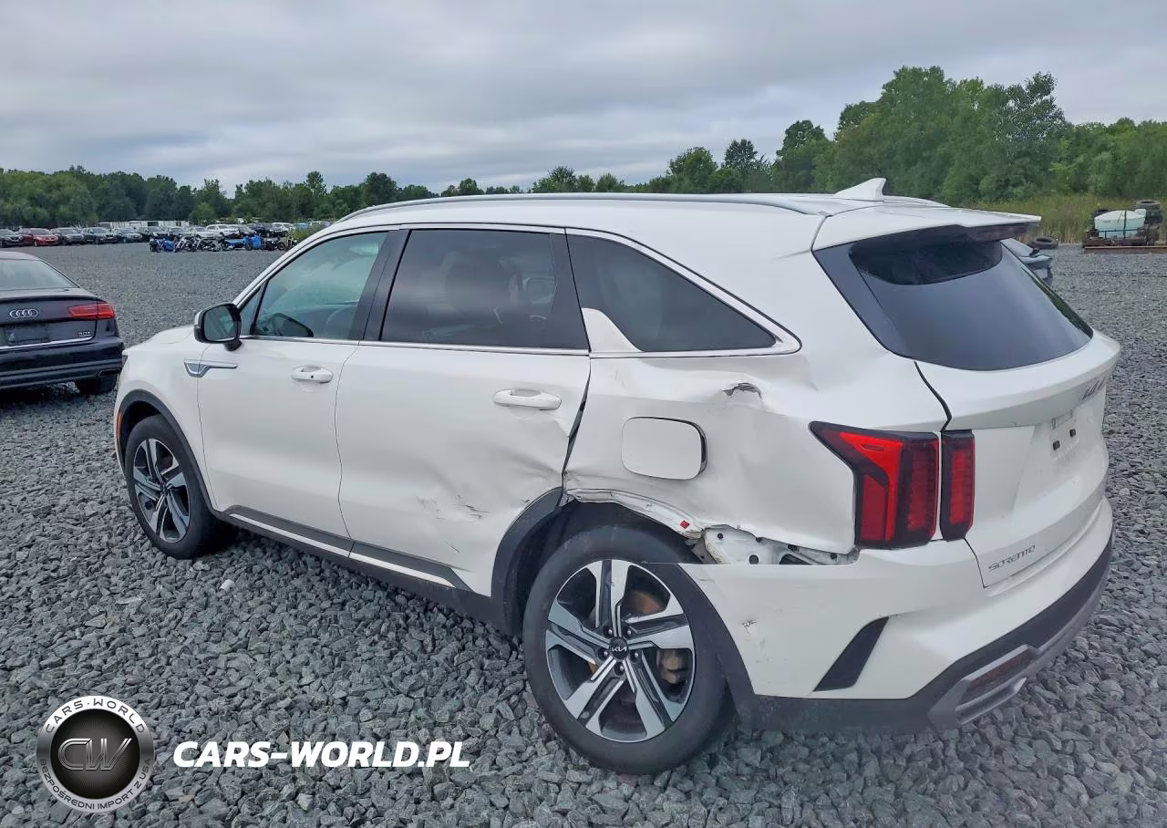 2023 Kia Sorento Ex VIN:KNDRHDLG1P5226318 - 2