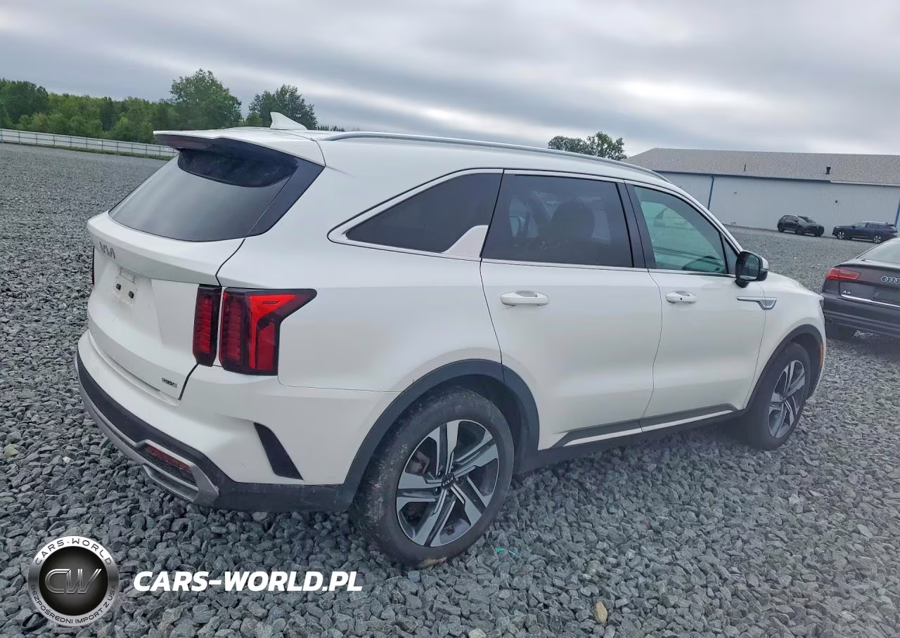 2023 Kia Sorento Ex VIN:KNDRHDLG1P5226318 - 3
