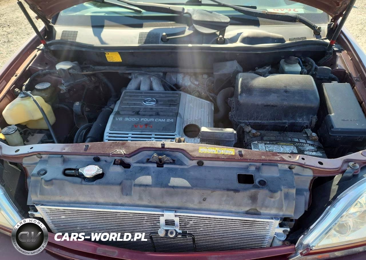 2000 Lexus Rx 300 VIN:JT6GF10U4Y0076734 - 12
