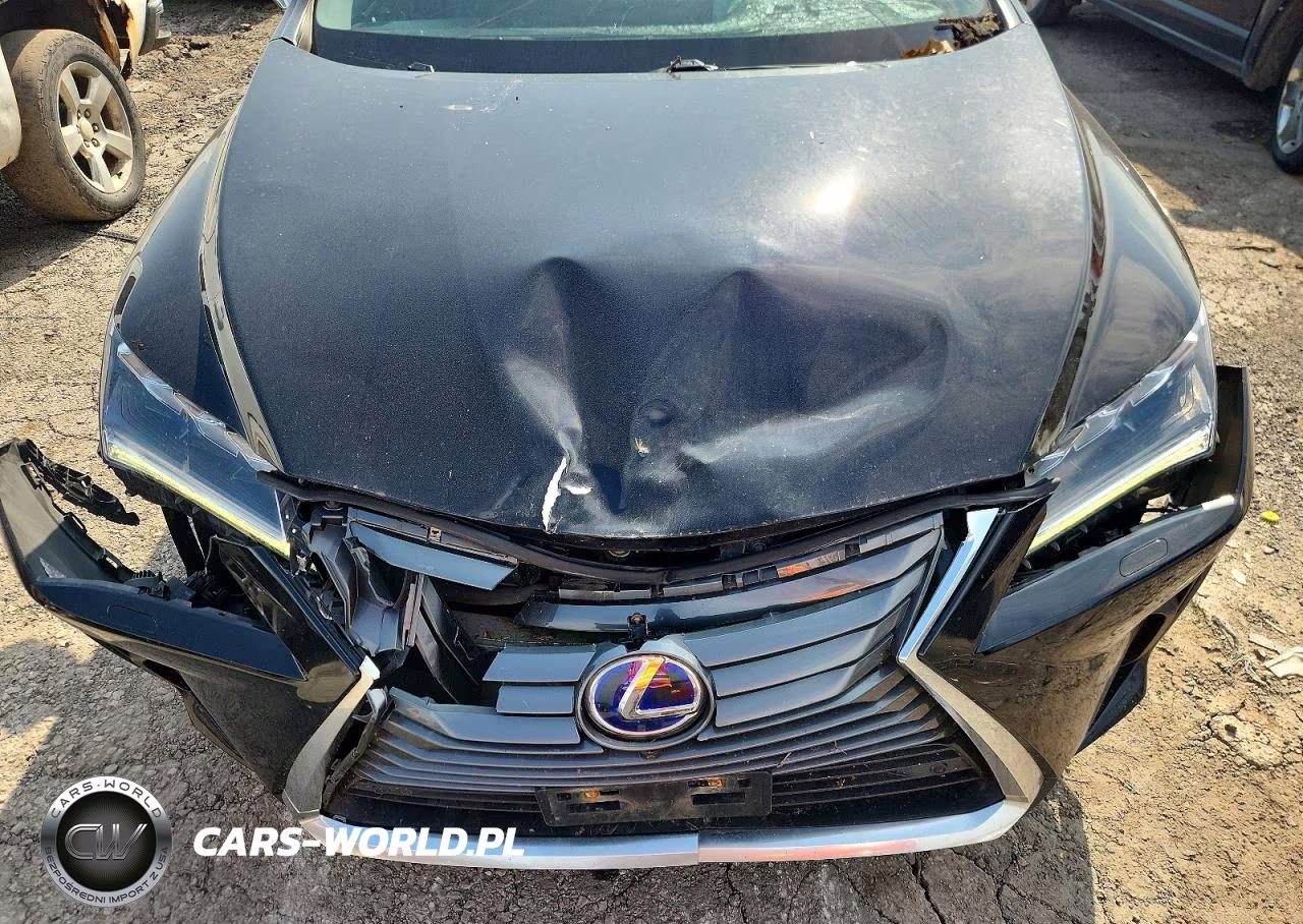 2016 Lexus Rx 450H Base VIN:2T2BGMCA5GC001950 - 11