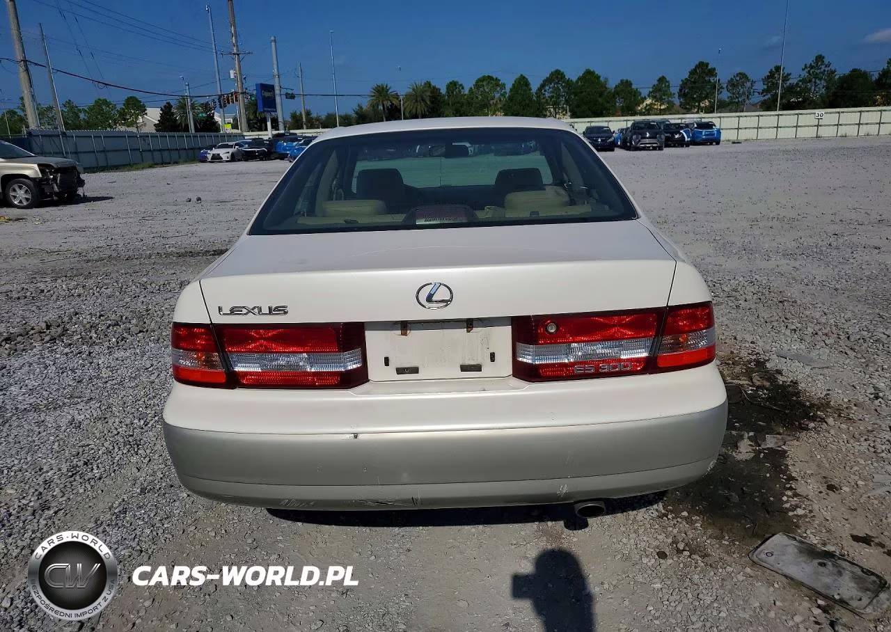 2001 Lexus Es 300 VIN:JT8BF28GX15105801 - 6