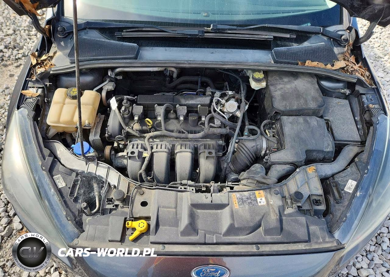 2017 Ford Focus Sel VIN:1FADP3H29HL237316 - 11