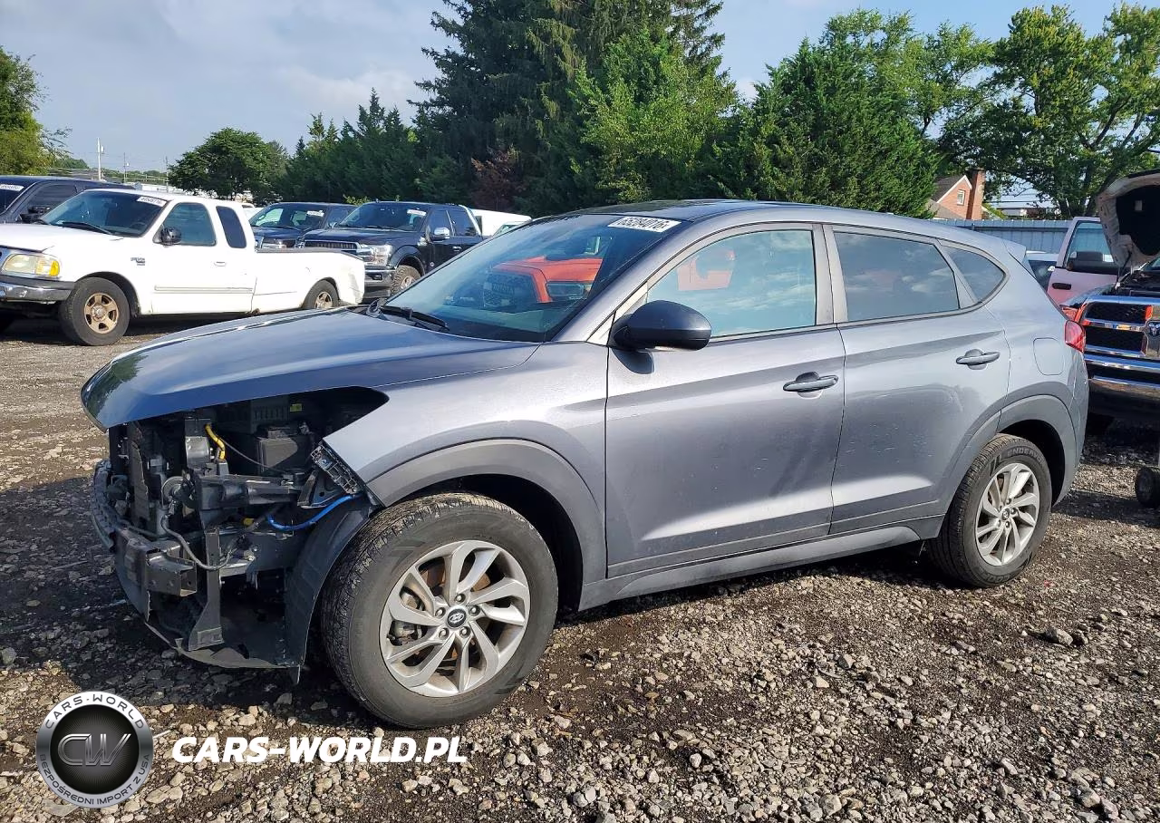 2019 Hyundai Tucson Se VIN:KM8J2CA43KU931858 - 1