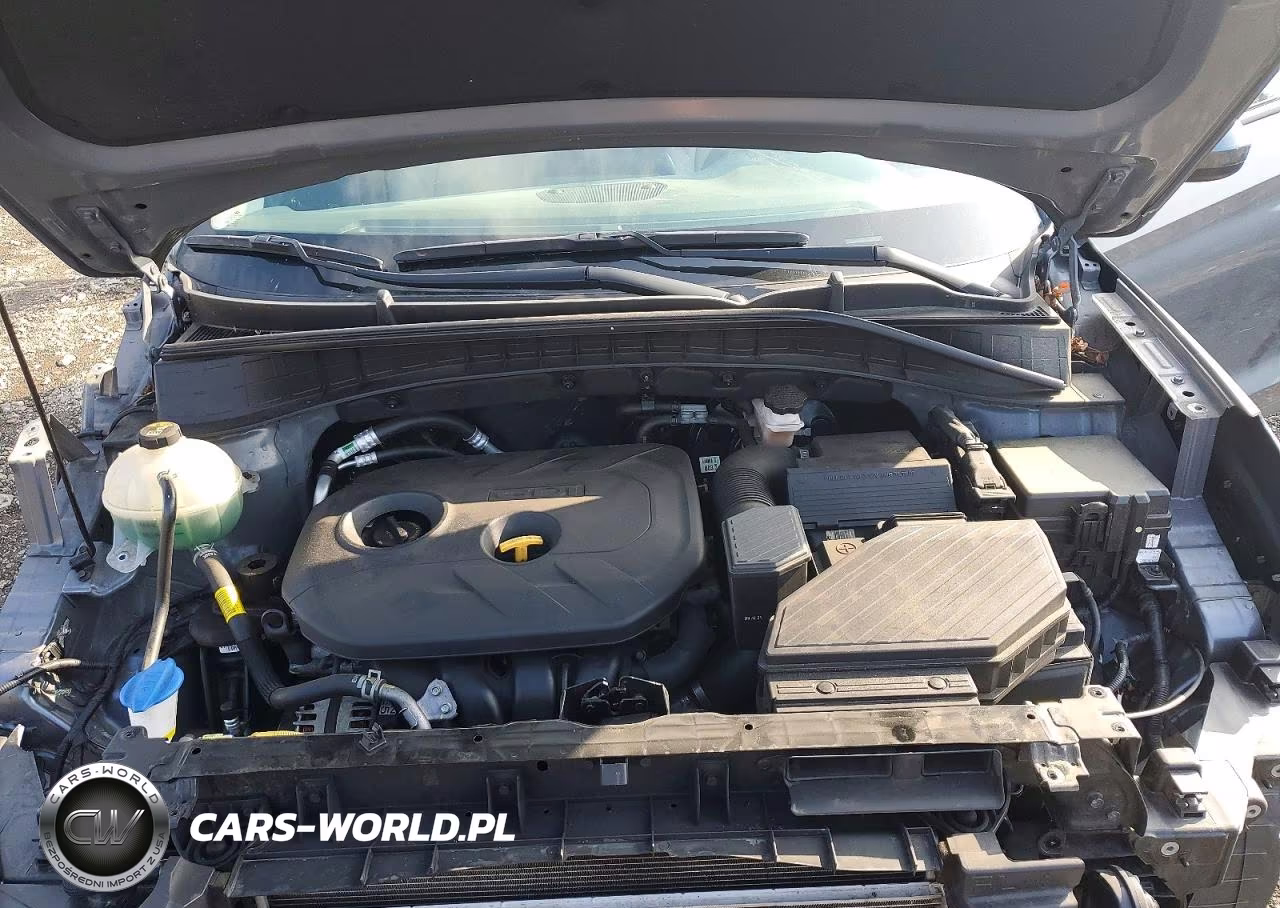 2019 Hyundai Tucson Se VIN:KM8J2CA43KU931858 - 12