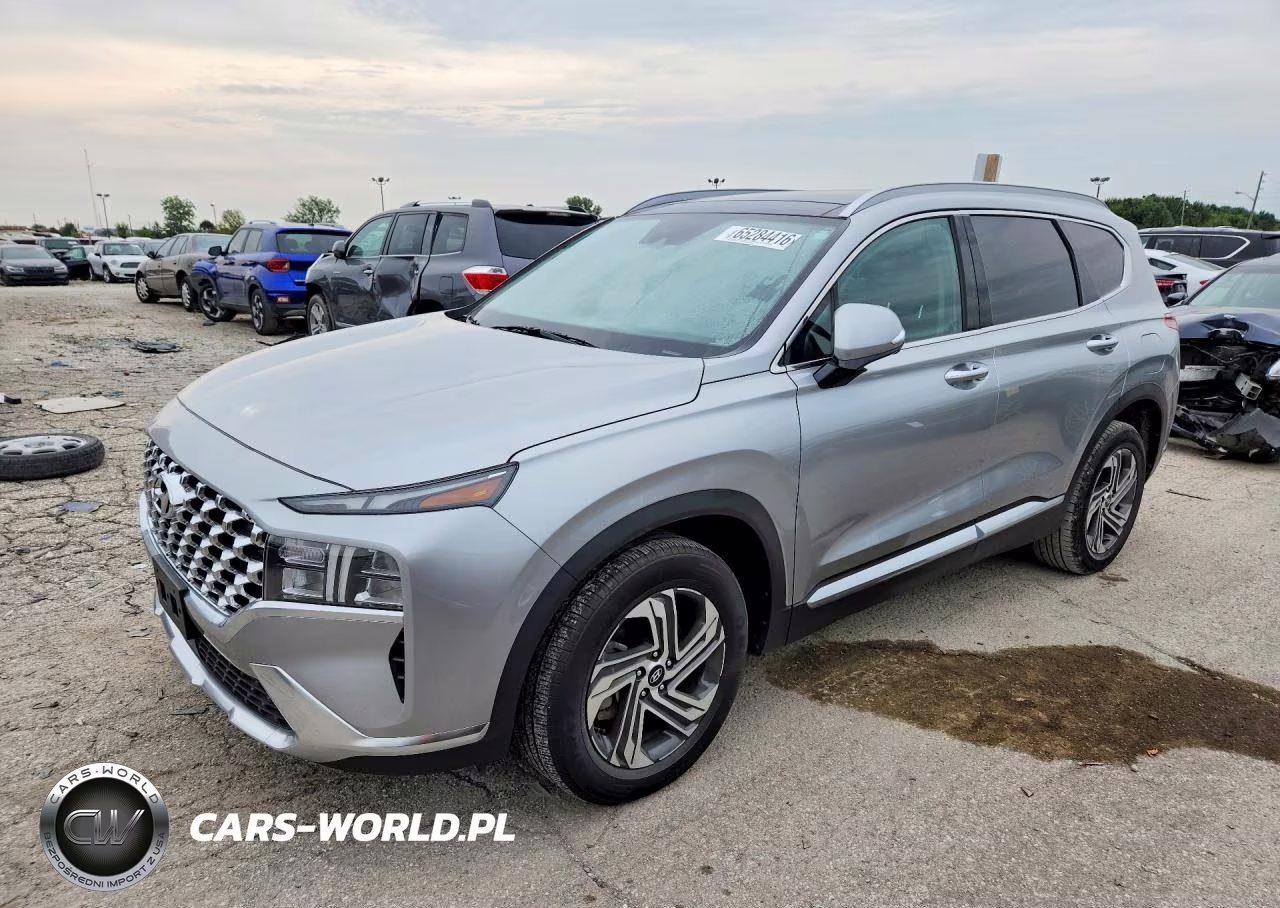 2023 Hyundai Santa Fe Sel Premium VIN:5NMS34AJ1PH611261 - 1
