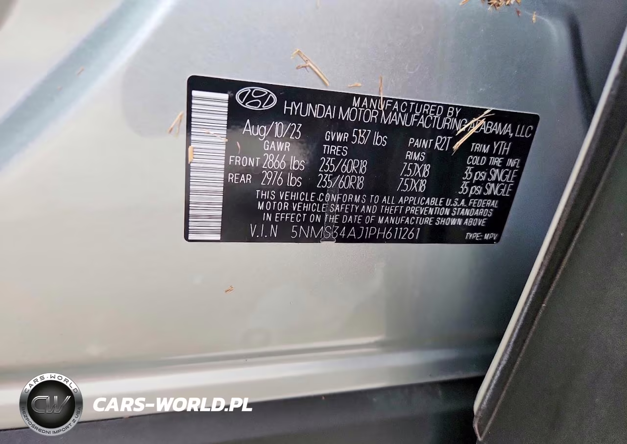2023 Hyundai Santa Fe Sel Premium VIN:5NMS34AJ1PH611261 - 13