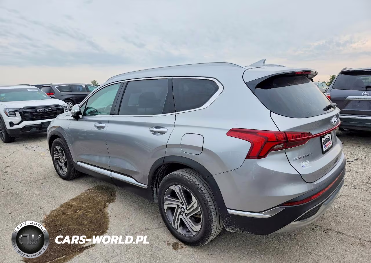 2023 Hyundai Santa Fe Sel Premium VIN:5NMS34AJ1PH611261 - 2
