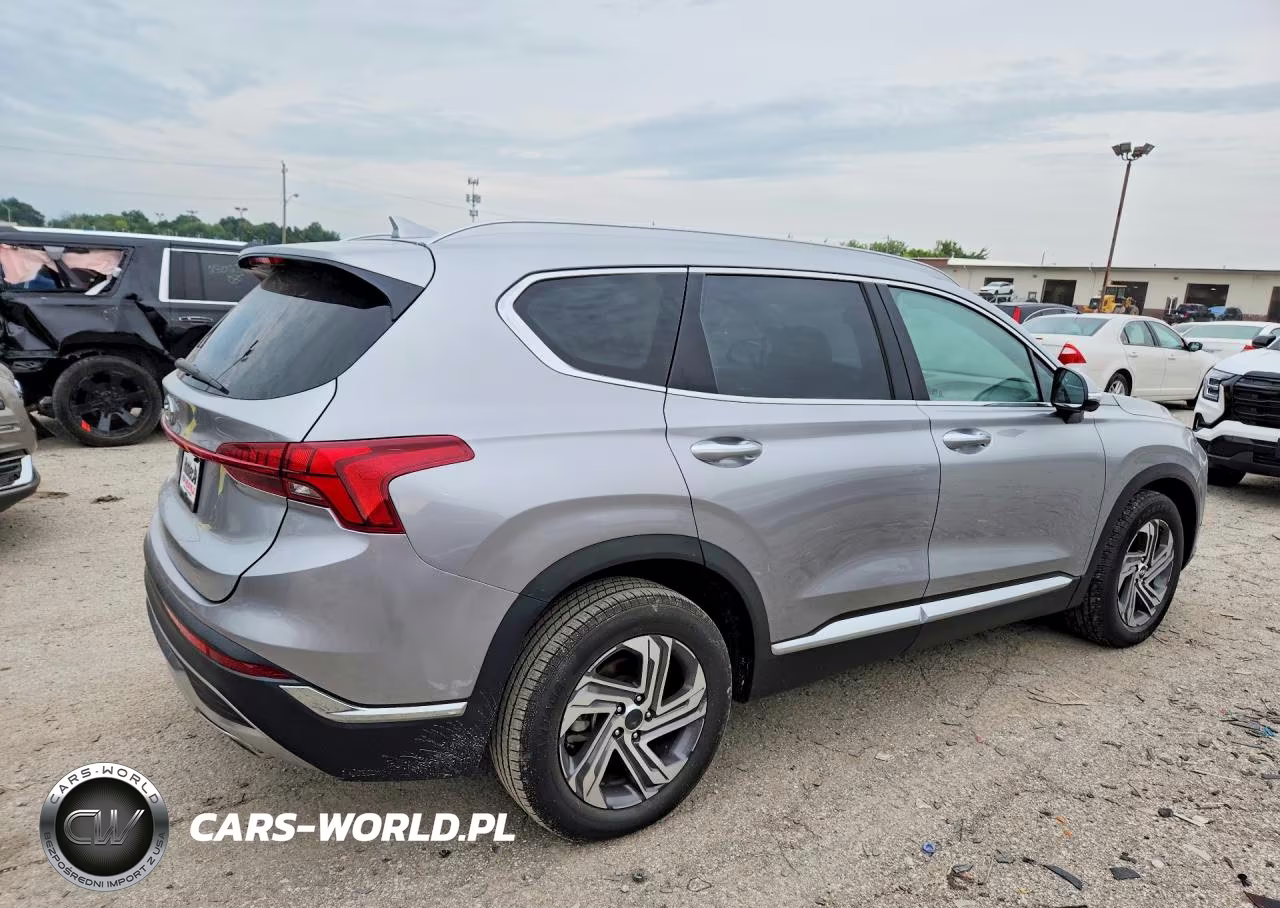 2023 Hyundai Santa Fe Sel Premium VIN:5NMS34AJ1PH611261 - 3