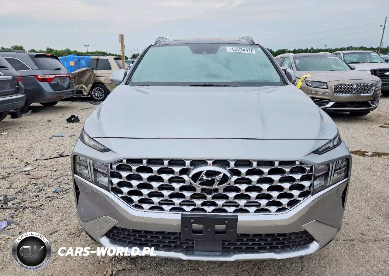2023 Hyundai Santa Fe Sel Premium VIN:5NMS34AJ1PH611261 - 5