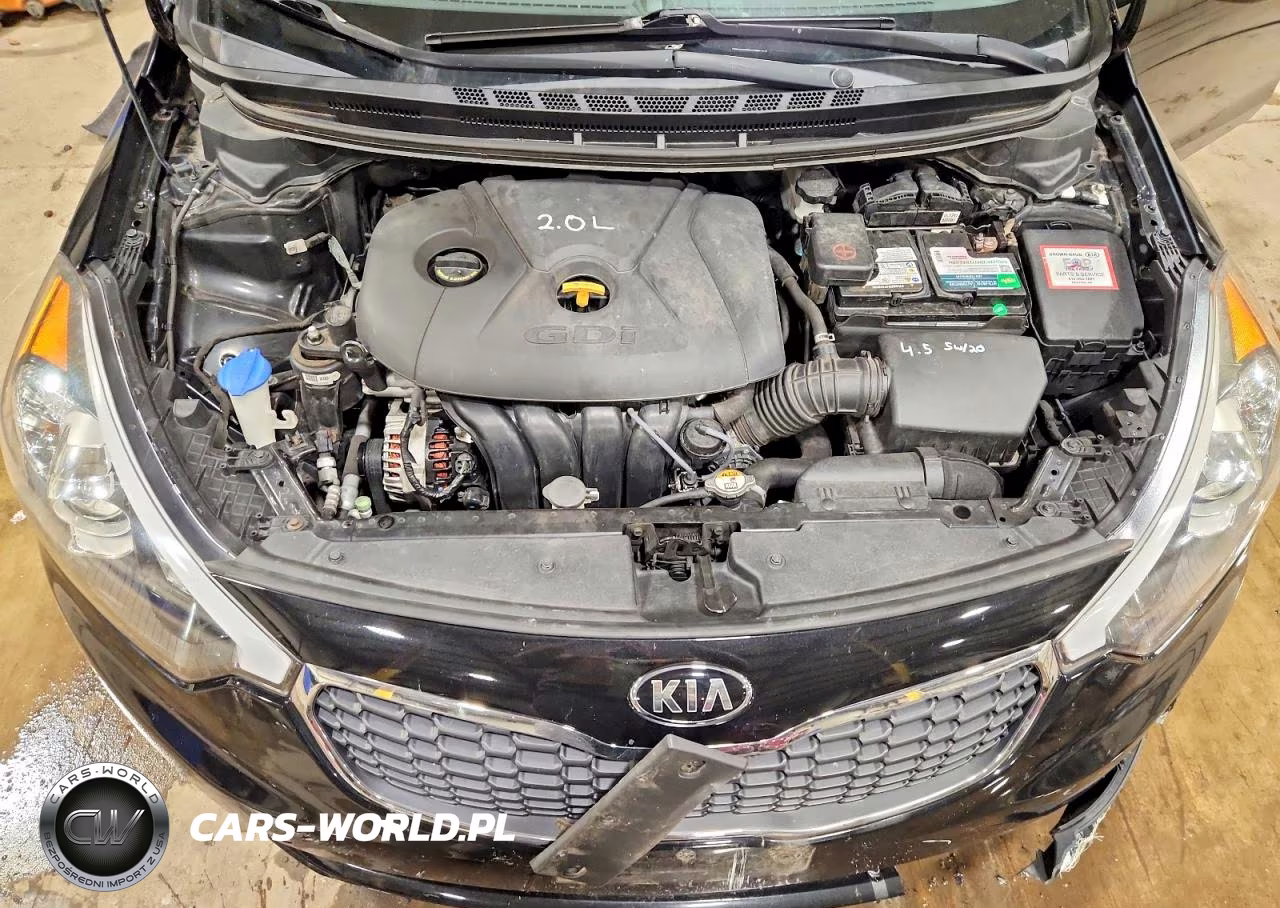 2016 Kia Forte5 Lx VIN:KNAFK5A8XG5583774 - 11