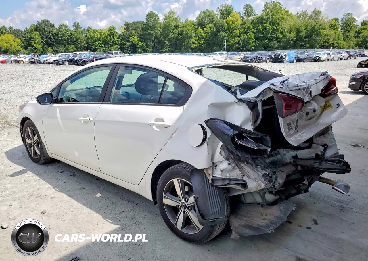 2018 Kia Forte S VIN:3KPFL4A7XJE239116 - 2