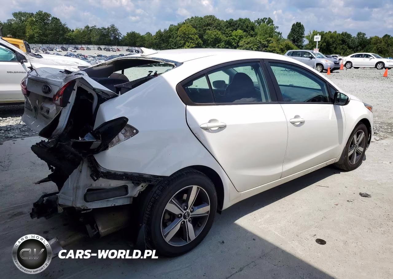 2018 Kia Forte S VIN:3KPFL4A7XJE239116 - 3