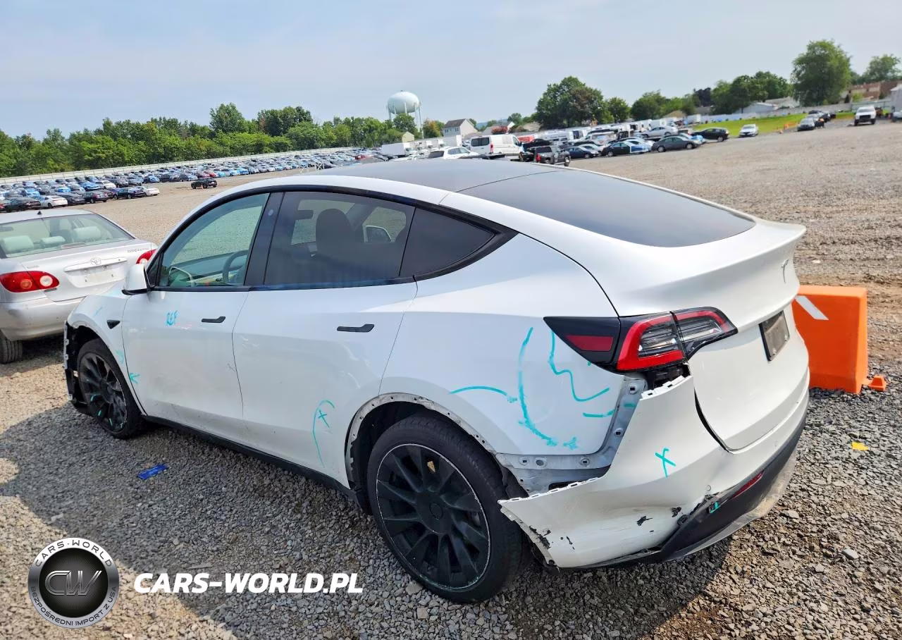 2020 Tesla Model Y VIN:5YJYGDEE5LF041742 - 2