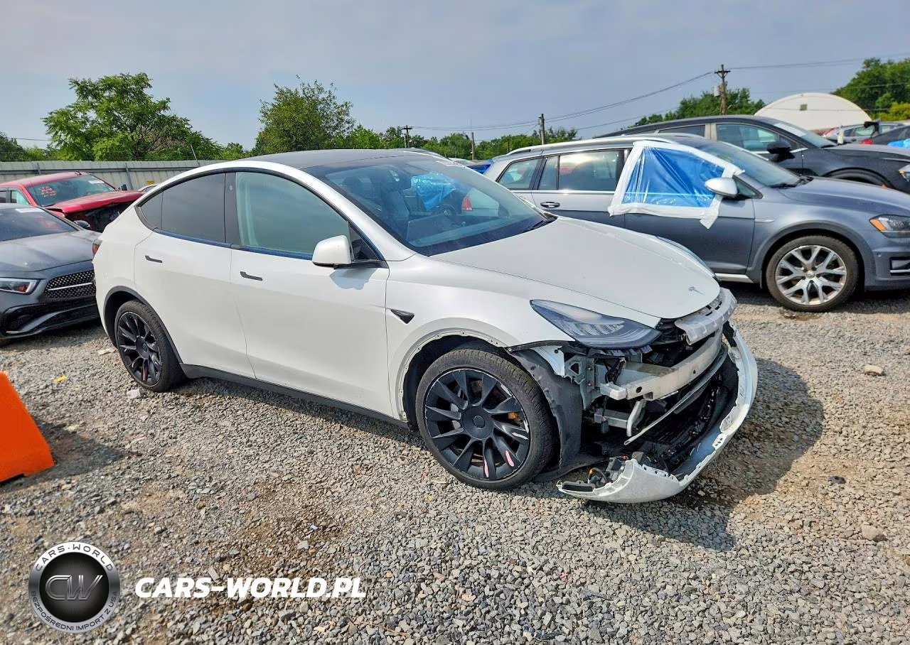 2020 Tesla Model Y VIN:5YJYGDEE5LF041742 - 4