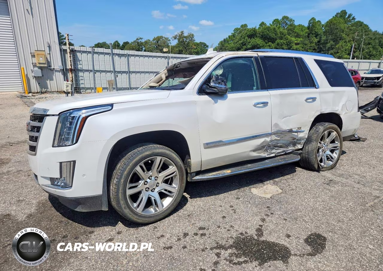 2019 Cadillac Escalade Luxury VIN:1GYS3BKJ9KR237385 - 1
