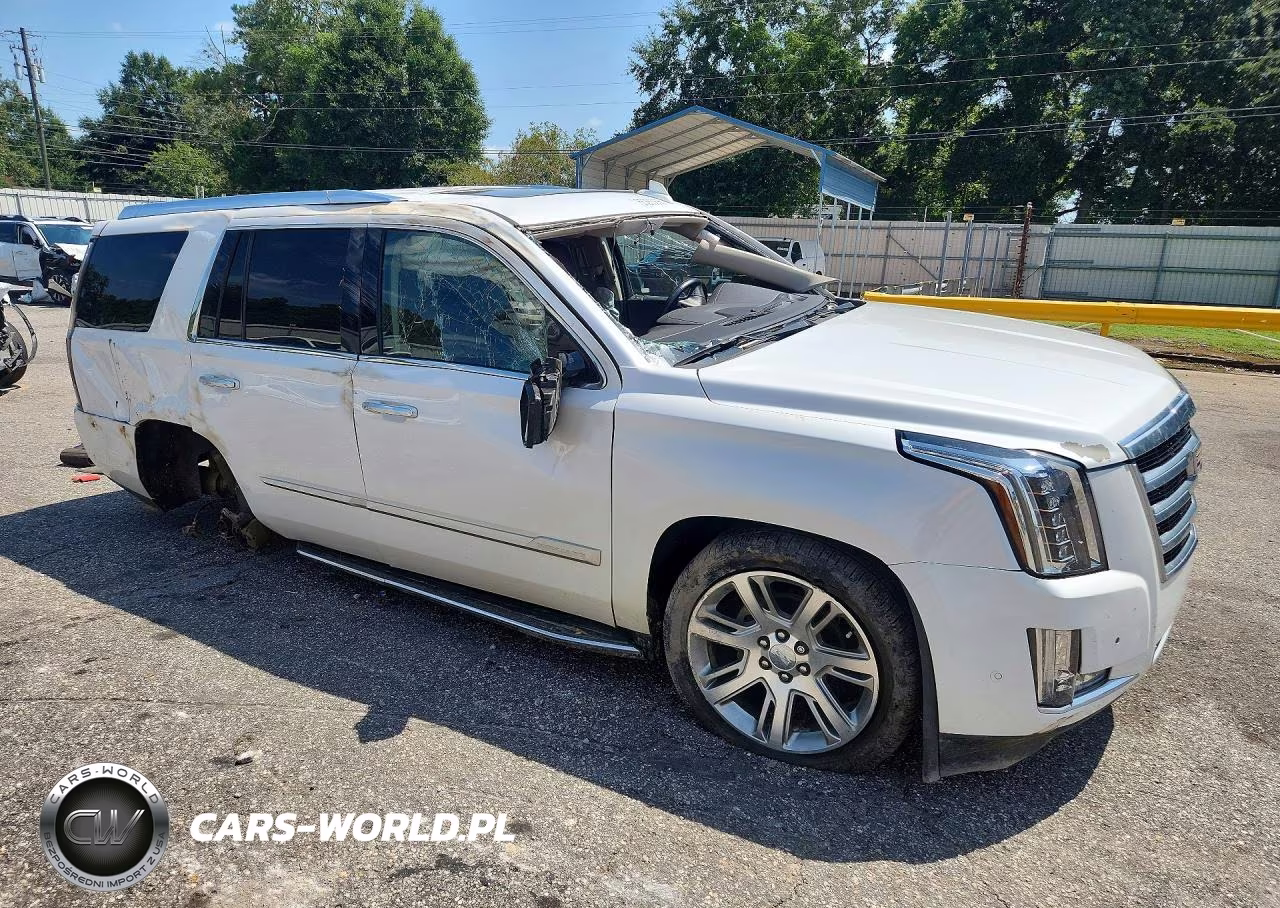 2019 Cadillac Escalade Luxury VIN:1GYS3BKJ9KR237385 - 4