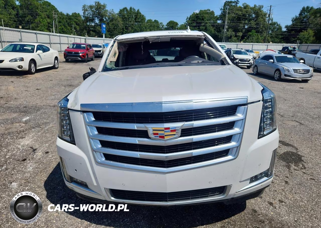 2019 Cadillac Escalade Luxury VIN:1GYS3BKJ9KR237385 - 5