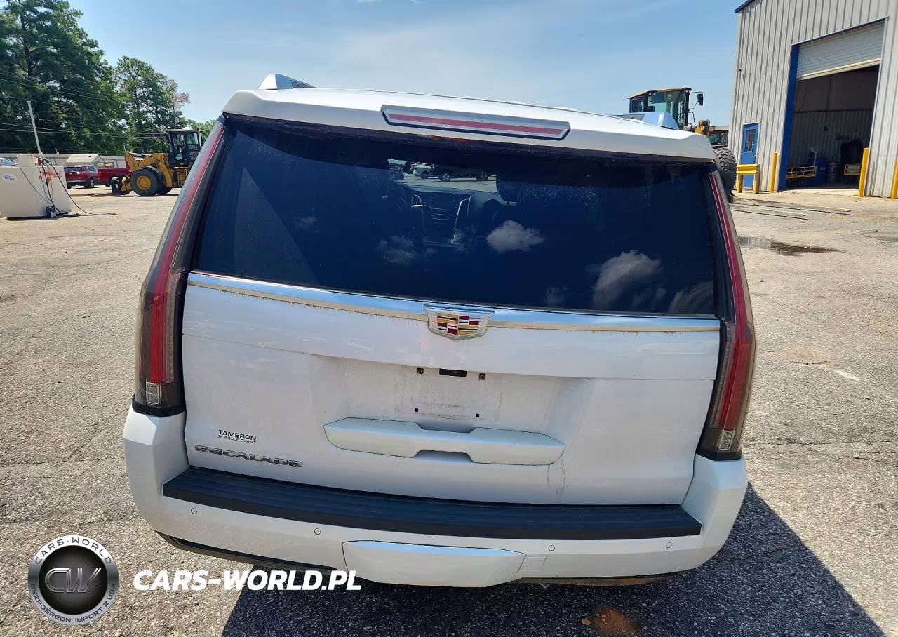 2019 Cadillac Escalade Luxury VIN:1GYS3BKJ9KR237385 - 6
