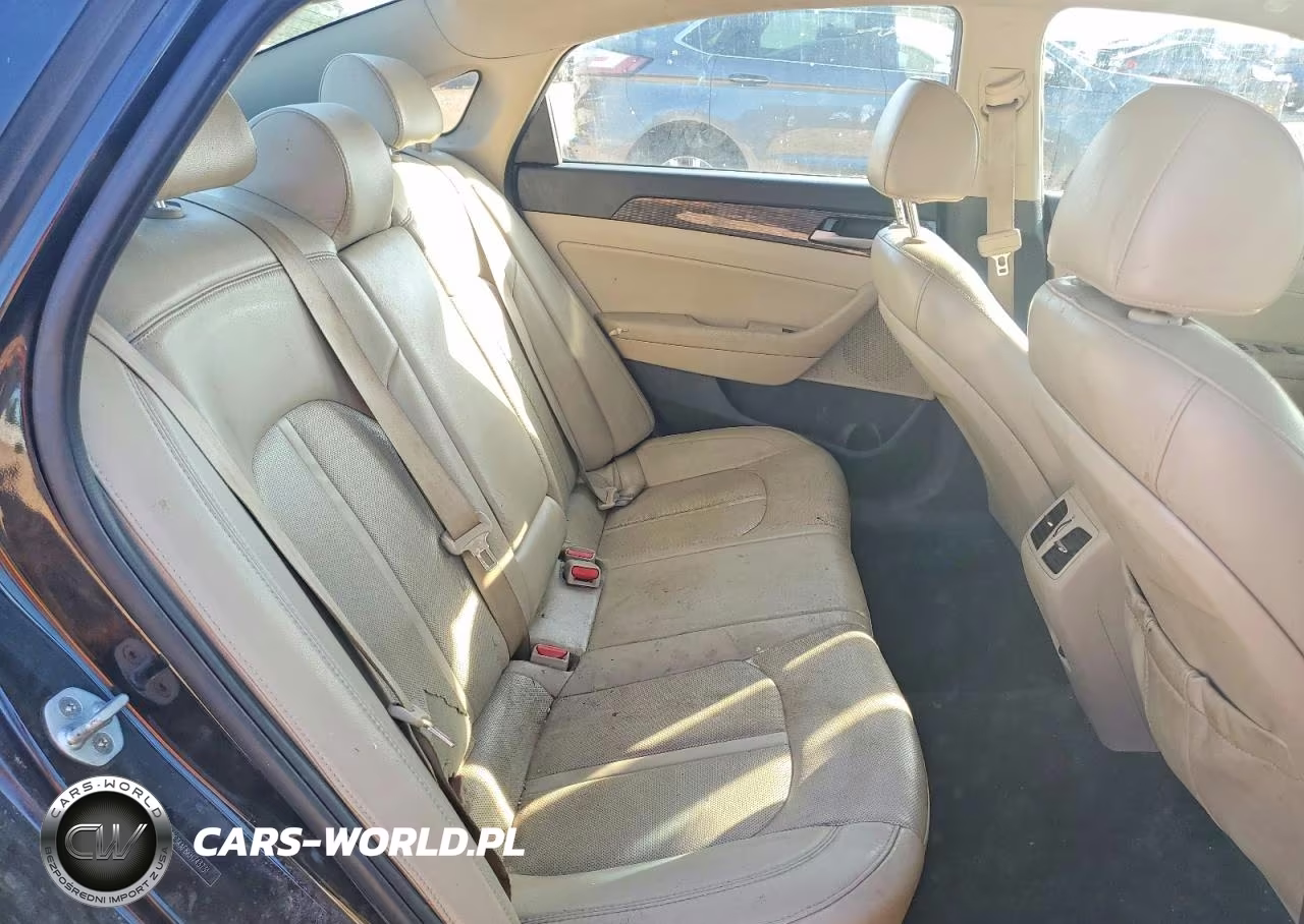 2019 Hyundai Sonata Limited VIN:5NPE34AF8KH743731 - 10