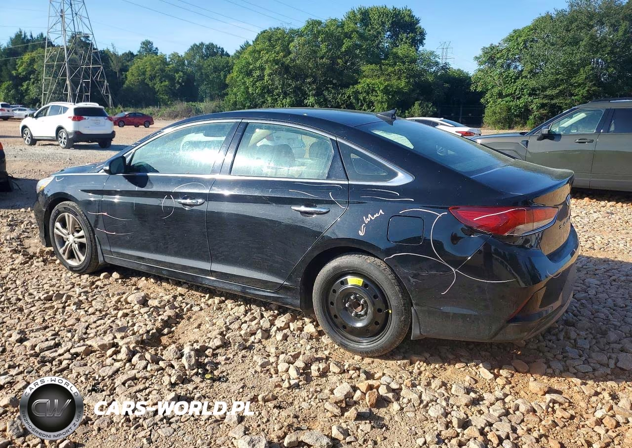 2019 Hyundai Sonata Limited VIN:5NPE34AF8KH743731 - 2