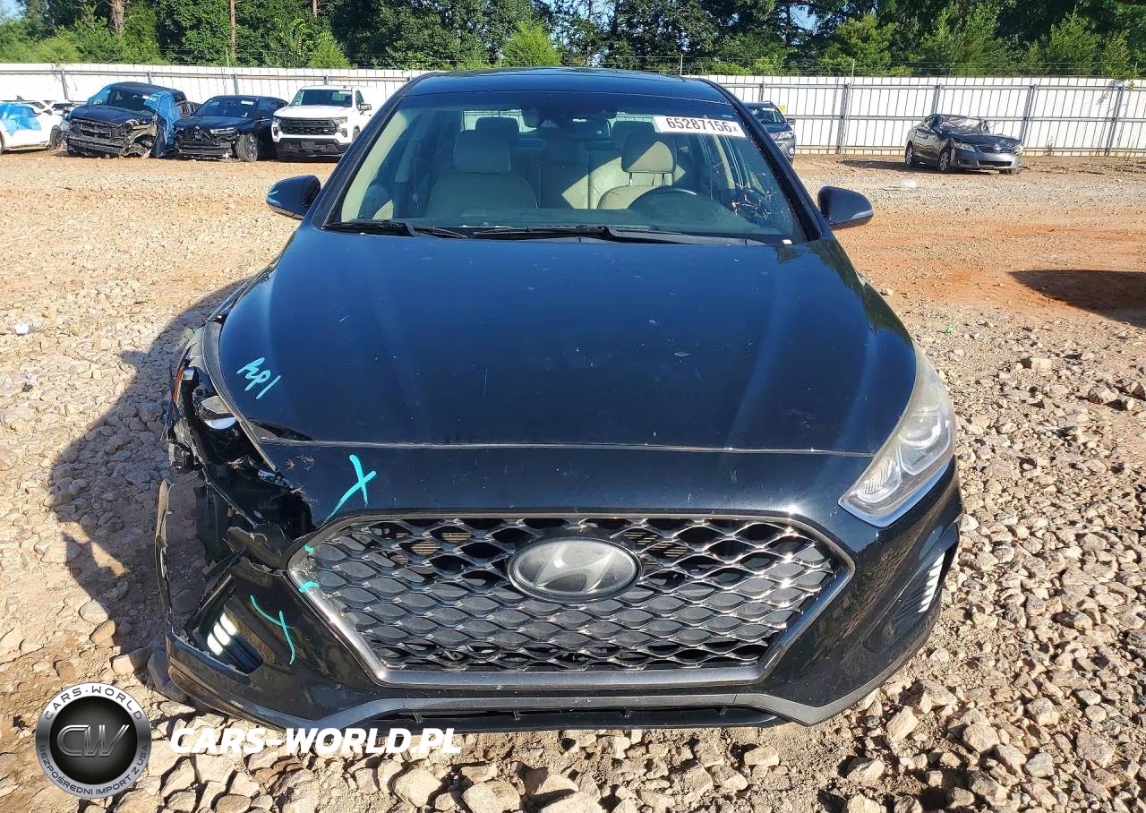 2019 Hyundai Sonata Limited VIN:5NPE34AF8KH743731 - 5